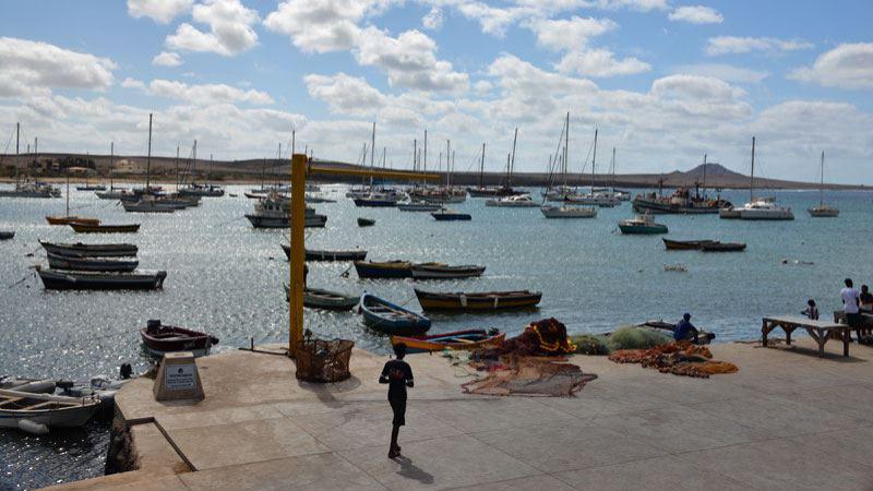 Insel Sal - Palmeira